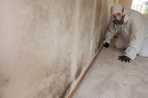 Best Forensic Mold Investigation  in USA